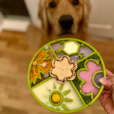 Four Seasons Shallow eBowl Slow Feeder For Dogs-Slow Feeder-Rover Pet Products